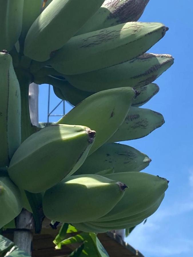 Casa Algana Βίλα El Limon Εξωτερικό φωτογραφία