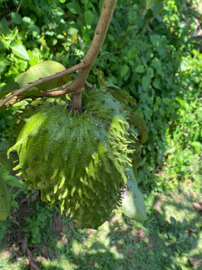 Casa Algana Βίλα El Limon Εξωτερικό φωτογραφία